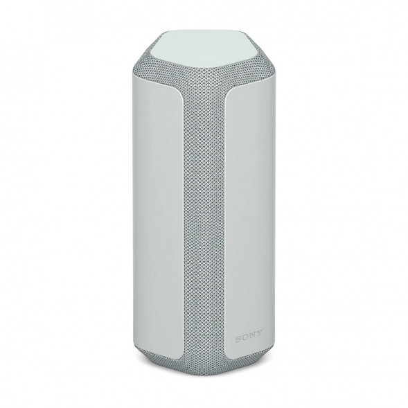 Портативная колонка Sony SRS-XE300, Light Gray в Тамбове