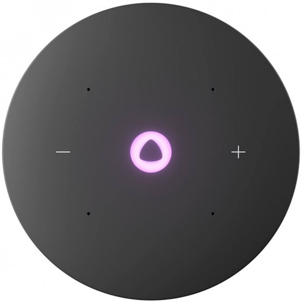 Умная колонка Яндекс Станция Мини 3 Про с Алисой с Zigbee, серый в Тамбове