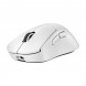 Беспроводная мышь Logitech G Pro X Superlight 2 DEX, White в Тамбове