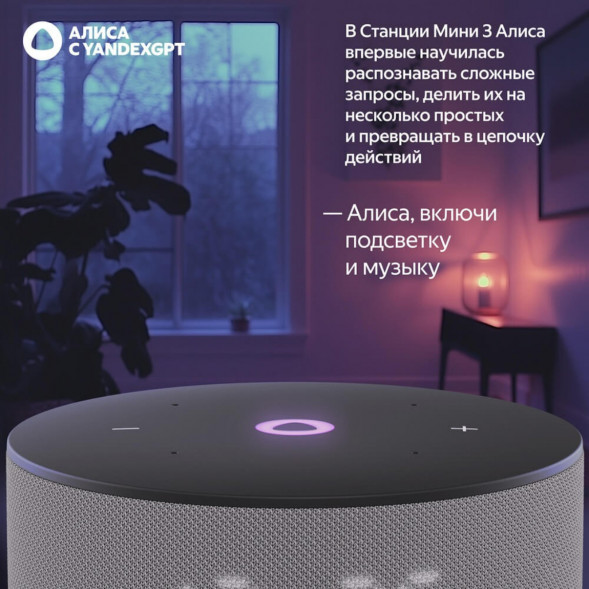 Умная колонка Яндекс Станция Мини 3 c Алисой на YandexGPT, серая в Тамбове