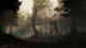 Игра GreedFall [PS4, русские субтитры] в Тамбове