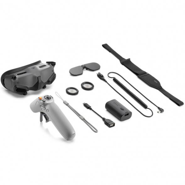 DJI Goggles 2 Motion Combo (DJI RC Motion 2) в Тамбове