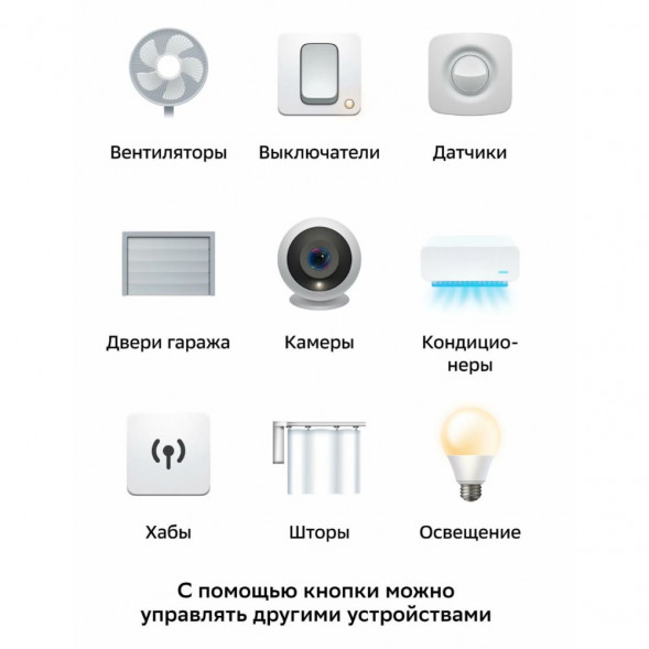 Умная кнопка Sber SBDV-00032 в Тамбове