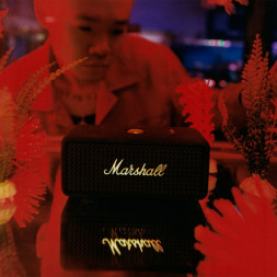 Портативная колонка Marshall Emberton III, Black &amp;amp; Brass