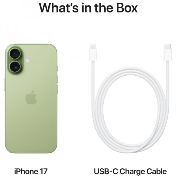 Смартфон Apple iPhone 17 256GB eSim, Sage в Тамбове