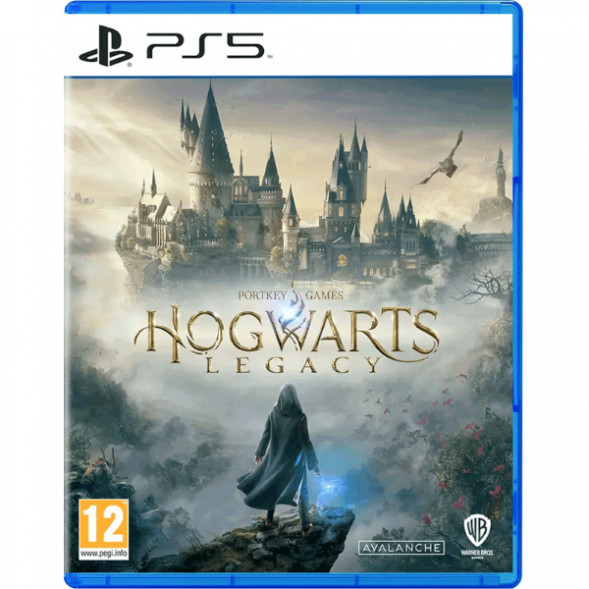 Игра Hogwarts Legacy Standard Edition для PlayStation 5 в Тамбове