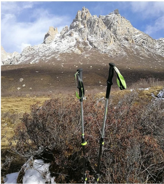 Треккинговая палка Naturehike 135 см, 1 шт., черный/красный в Тамбове