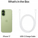 Смартфон Apple iPhone 17 512GB eSim, Sage в Тамбове