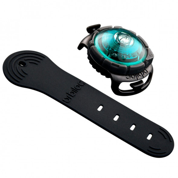 Фонарь для собак Orbiloc Dog Dual Fashion Colours, бирюзовый в Тамбове