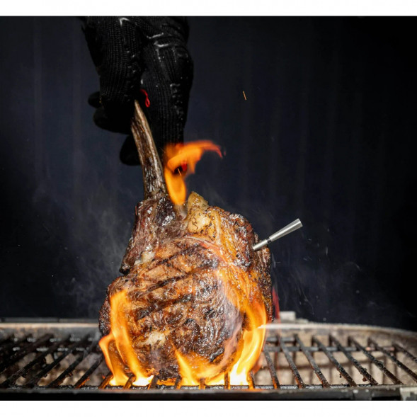 Термометр щуп для мяса MEATER 2 Plus (MT-MP201) в Тамбове