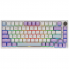 Клавиатура механическая AJAZZ AK820 [S1-AK820-1-RGB-DIY-SSS-PWB] в Тамбове