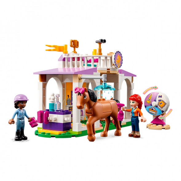 Конструктор LEGO Friends 41746 Horse Training в Тамбове