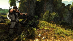 Игра Risen [Nintendo Switch, русская версия]