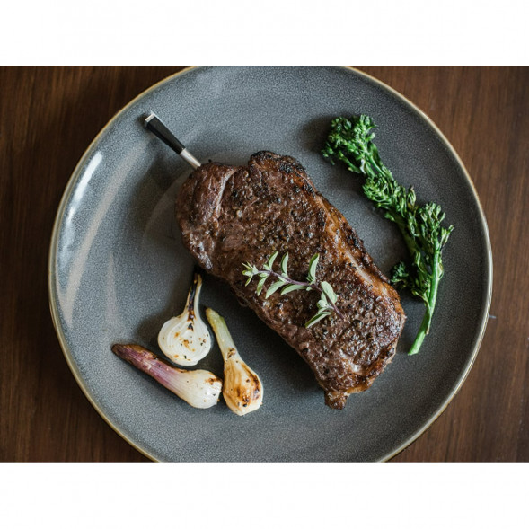 Термометр со щупом Meater Plus для мяса в Тамбове