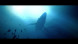 Игра Under The Waves [PS4, русские субтитры] в Тамбове