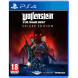 Игра Wolfenstein Youngblood Deluxe Edition [PS4, русская версия] в Тамбове