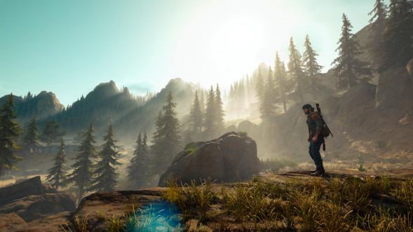 Игра Жизнь После (Days Gone) [PS4, русская версия] в Тамбове