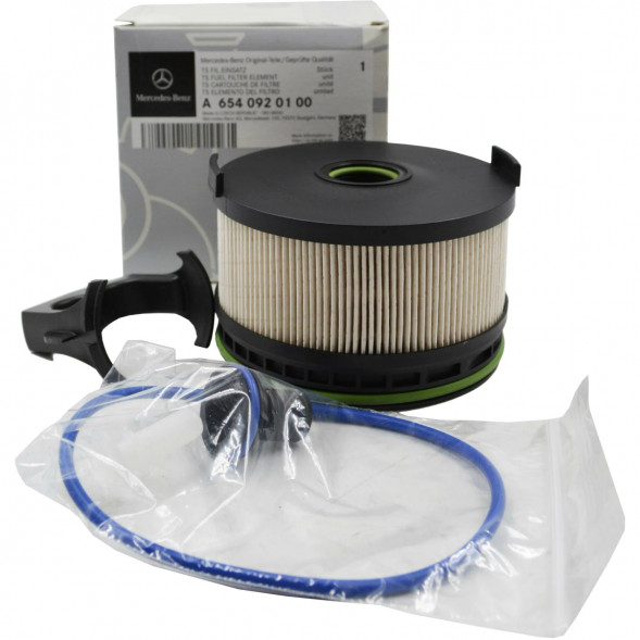 Топливный фильтр Mercedes-Benz A6540920100 в Тамбове