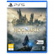 Игра Hogwarts Legacy. Exclusive DLC Astronomers Hat [PS5, русские субтитры] в Тамбове